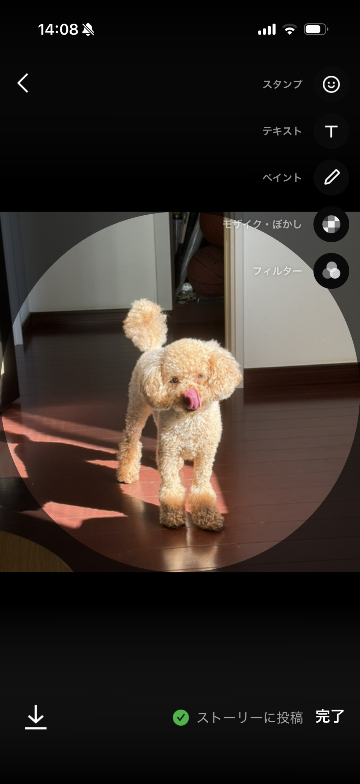 LINEのプロフィール画像の変更画面。下部に[ストーリーに投稿]のチェックが表示されている